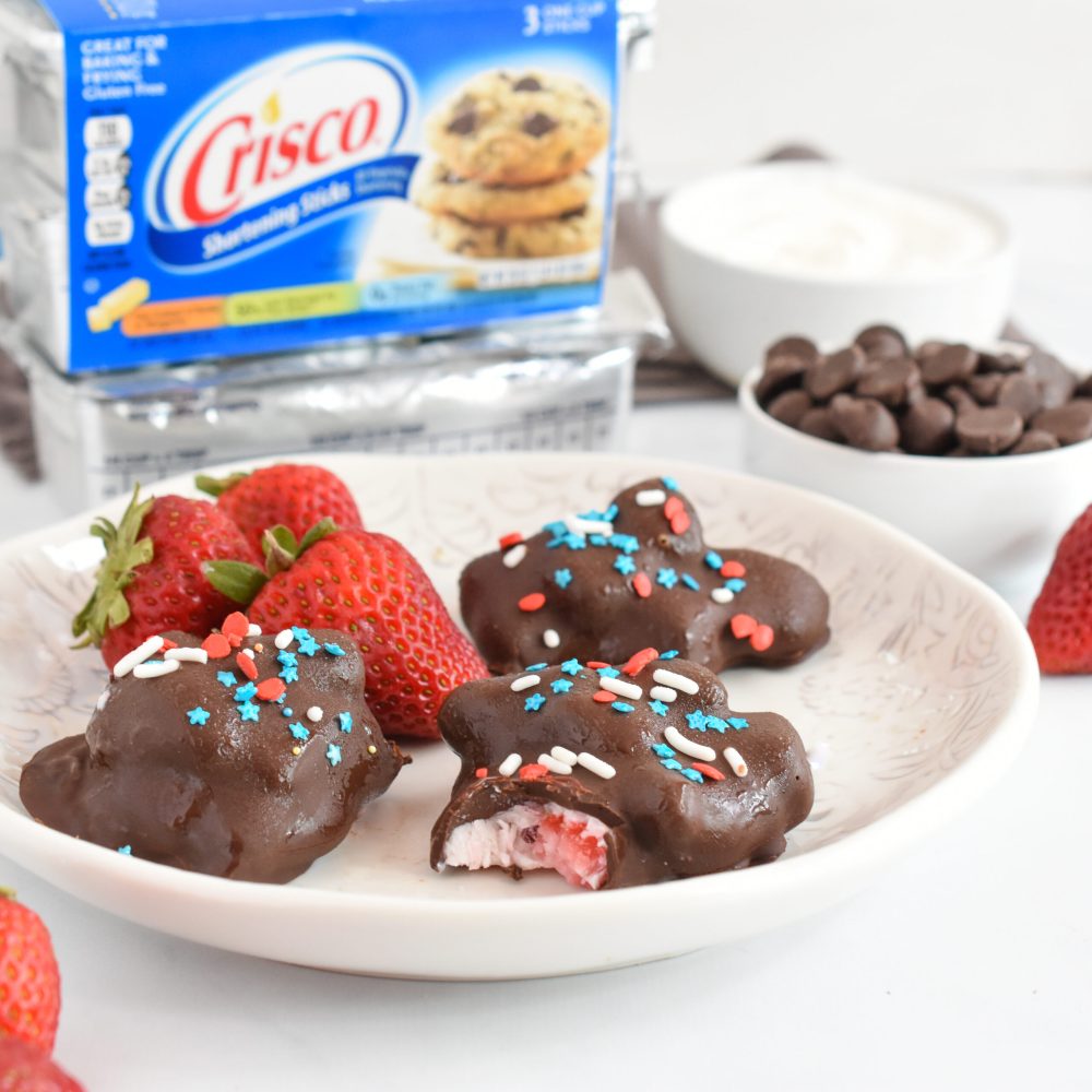 Chocolate Dipped Strawberry Yogurt Bites