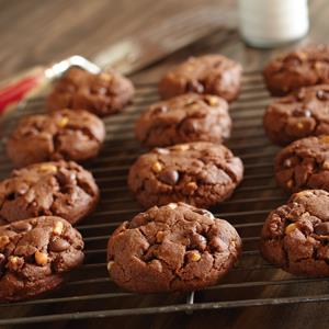 Peanut Butter Cocoa Cookies