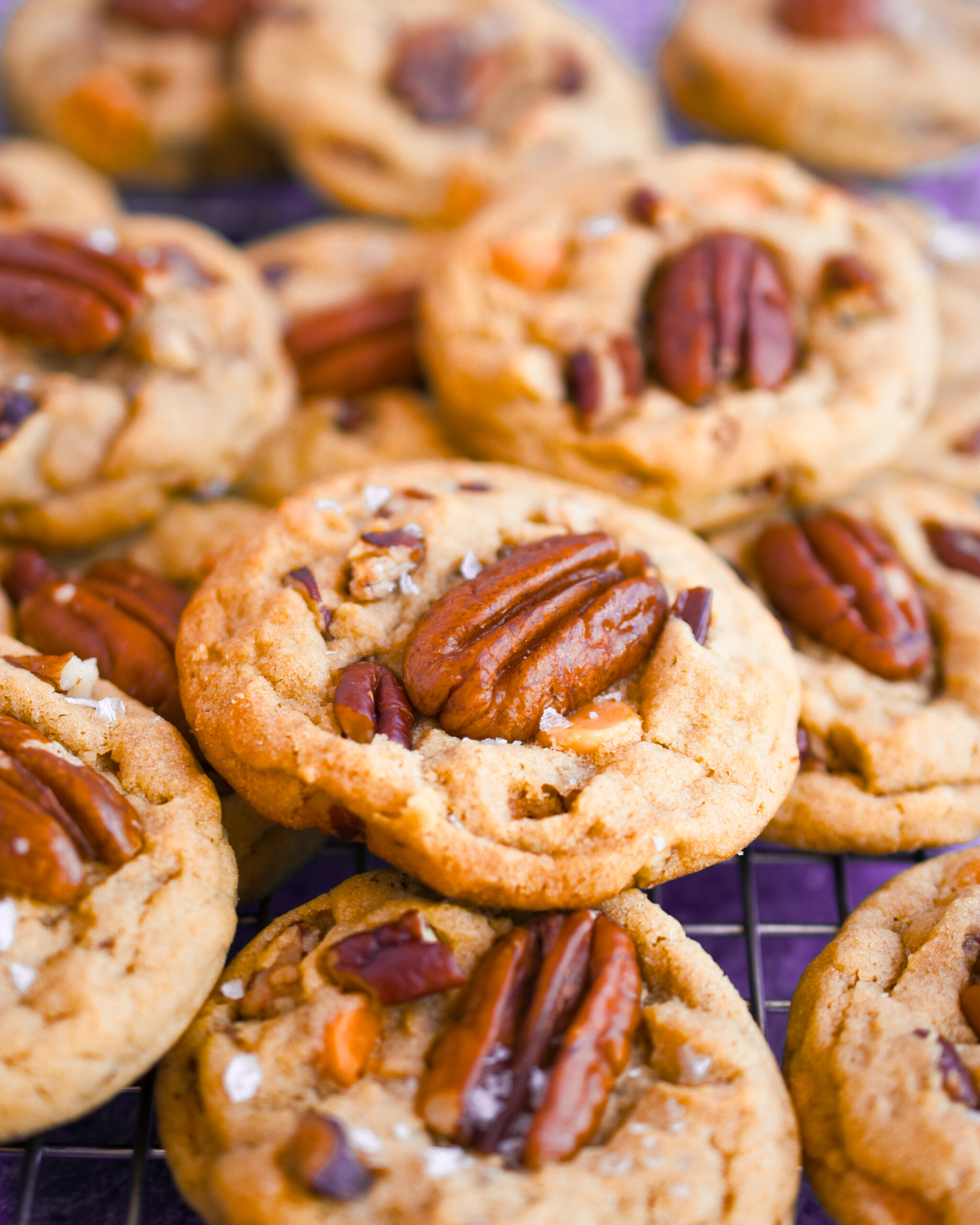 Toasted Pecan Cookies